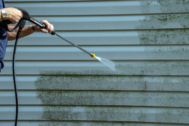 Best House Pressure Washing  in Ninety Six, SC